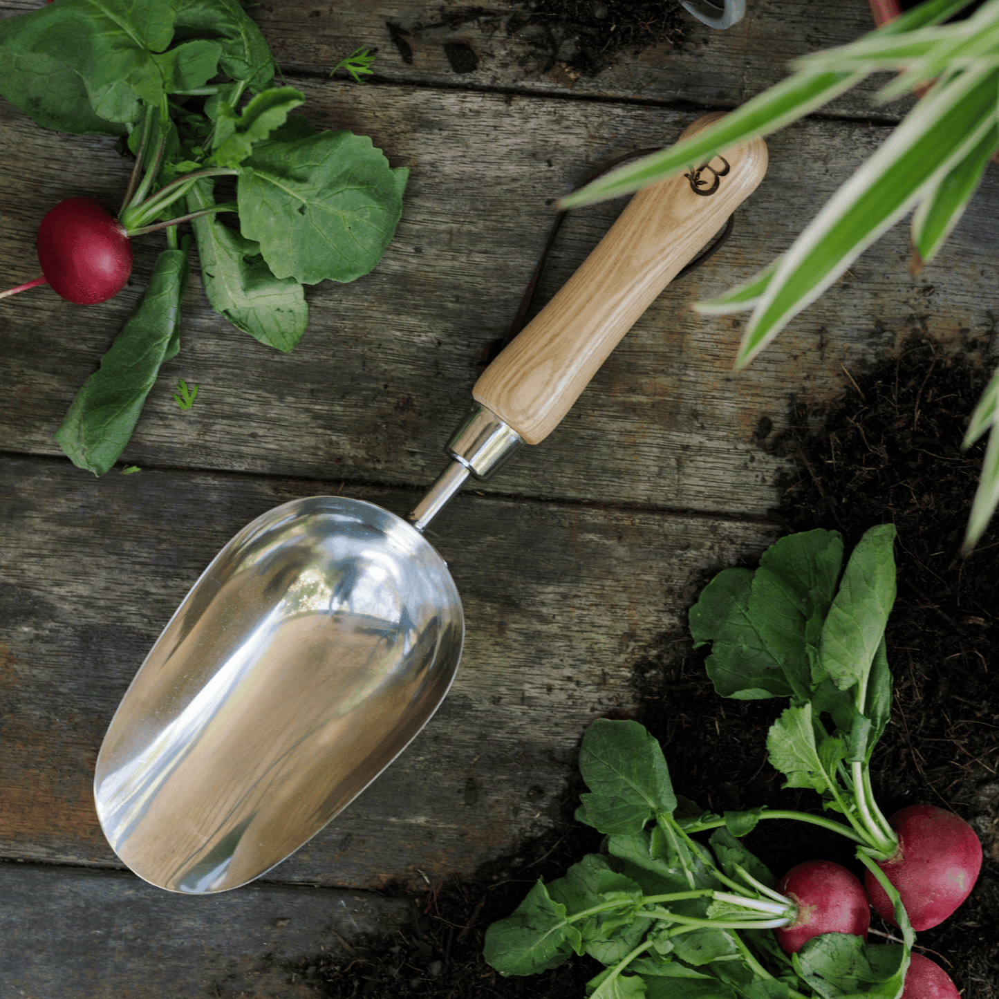 'Get Growing' compost scoop on potting bench with soil and radishes.