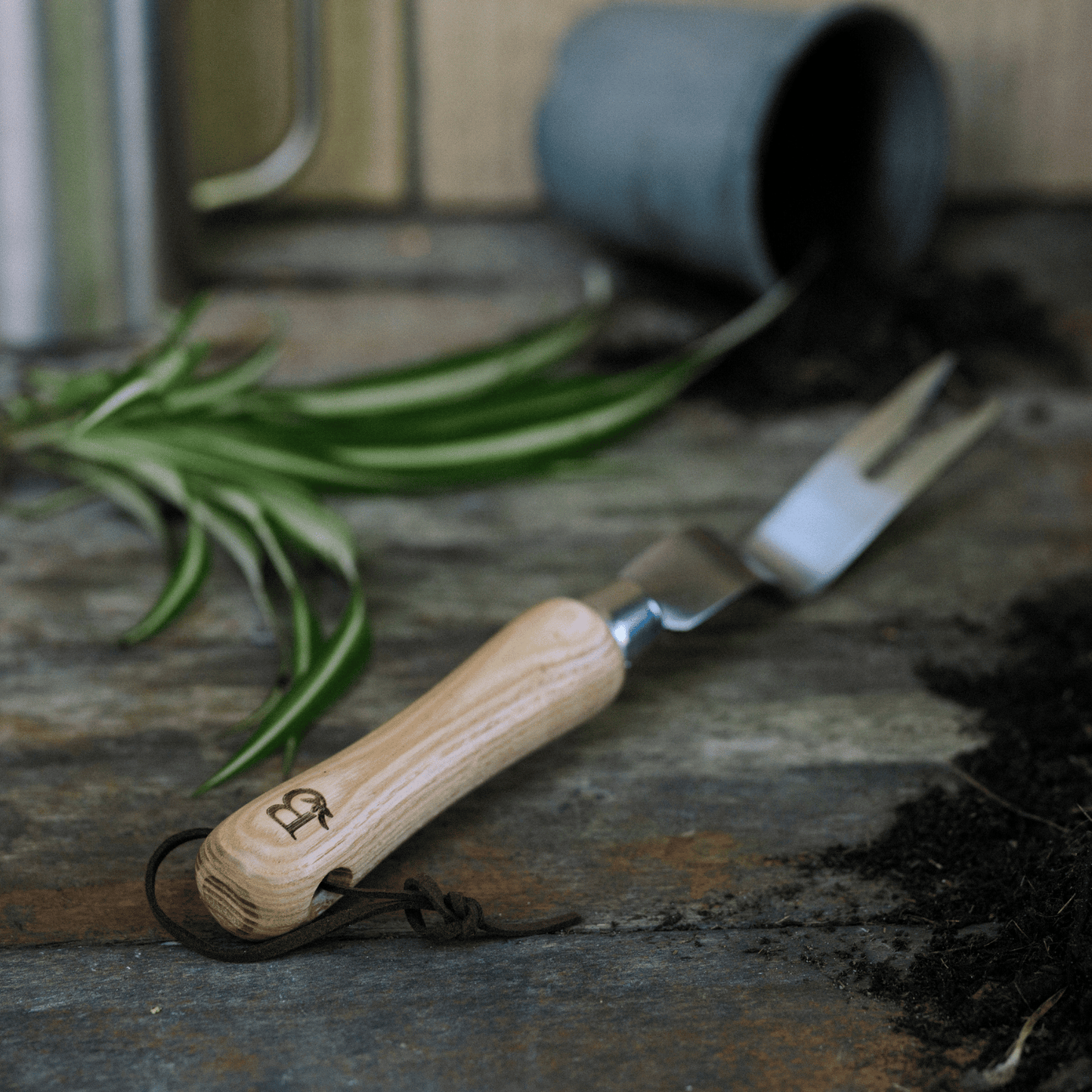 Dandelion weeding tool with Hanging Chord