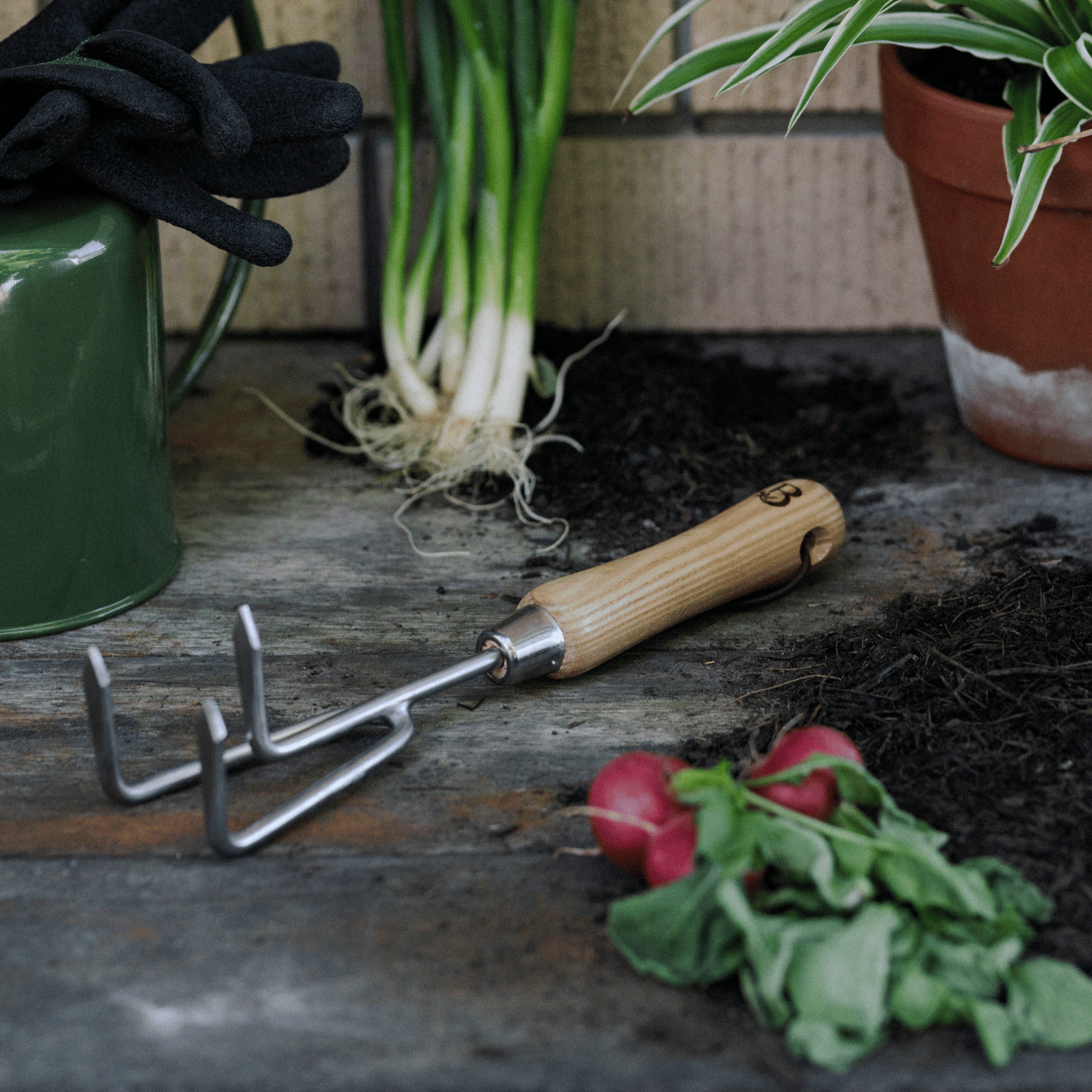 Traditional Garden Cultivating Tool on Potting Bench