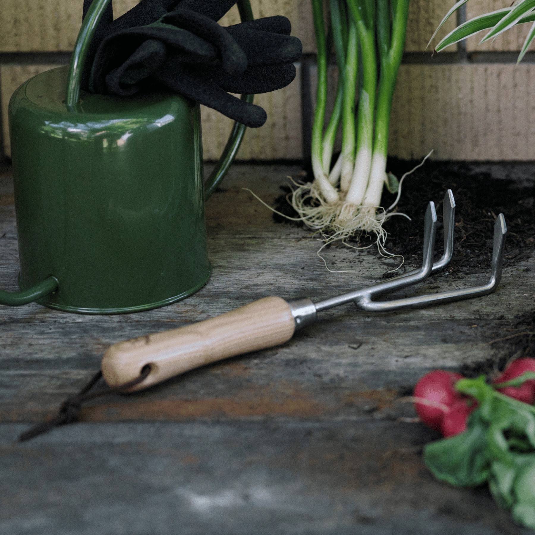 Cultivator Claw Garden Tool with 3 Prongs