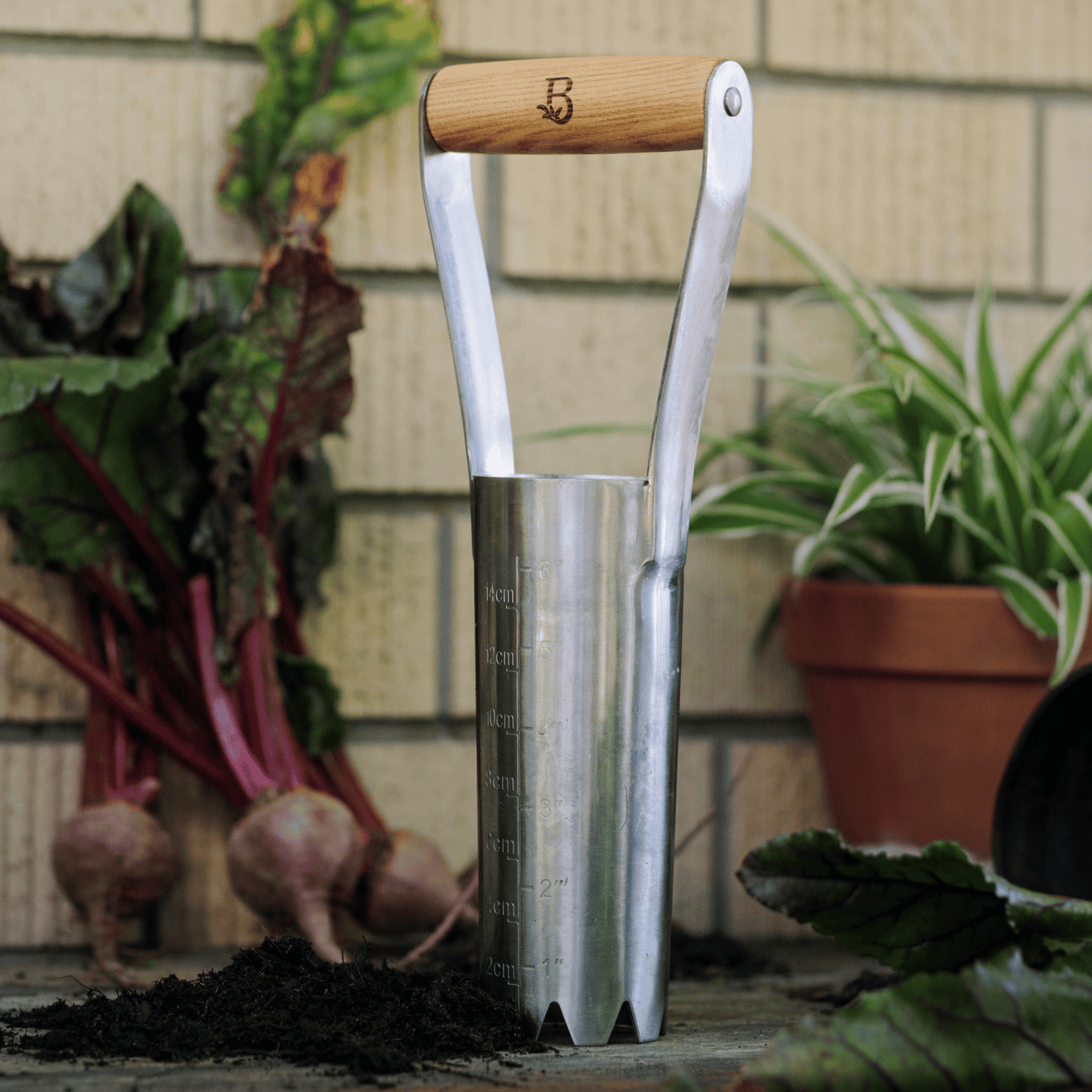 Large Bulb Planter from Backyard Botanist 'Get Growing' Range of Garden Tools