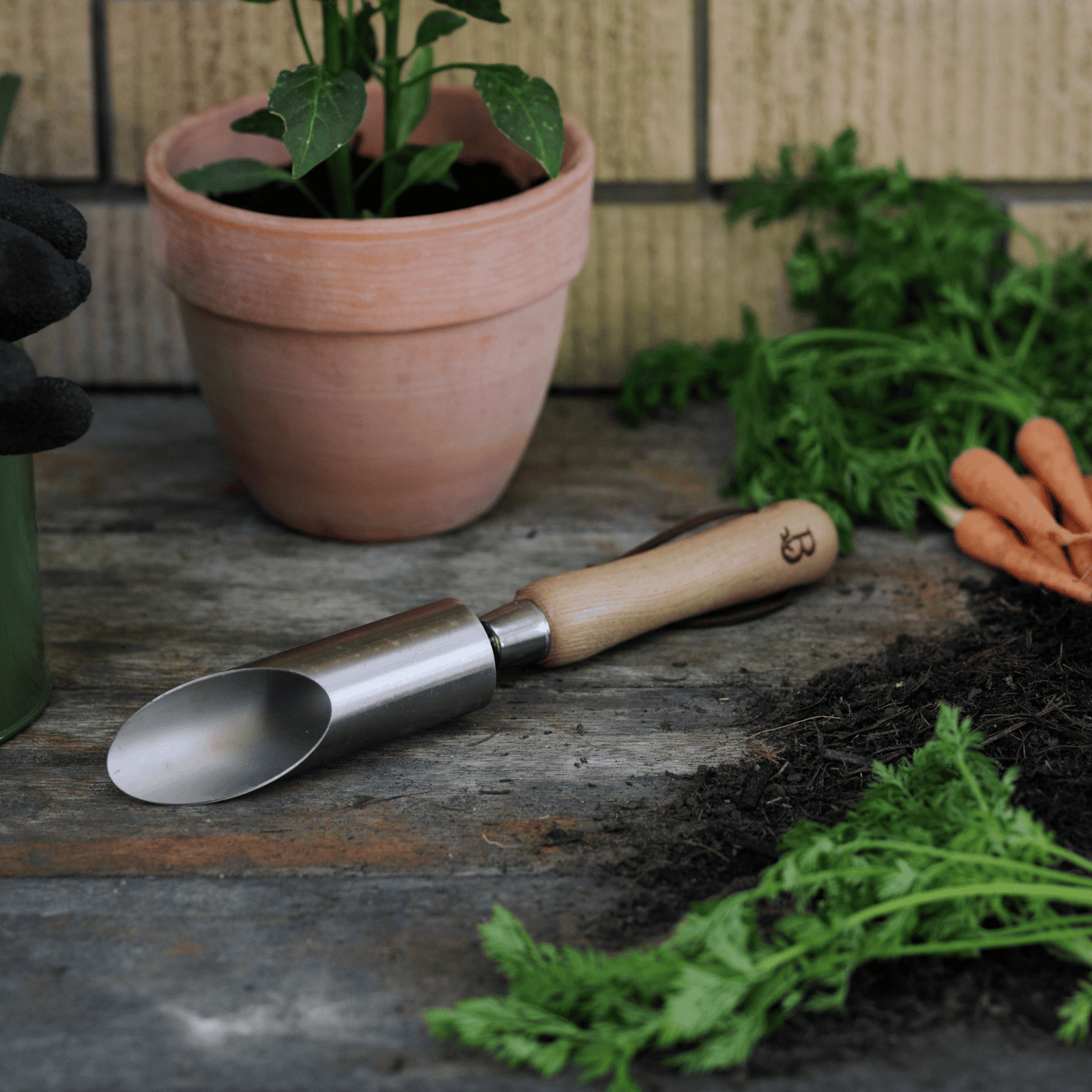 Backyard Botanist 'Get Growing' Small Bulb Planter on with engraved 'B'