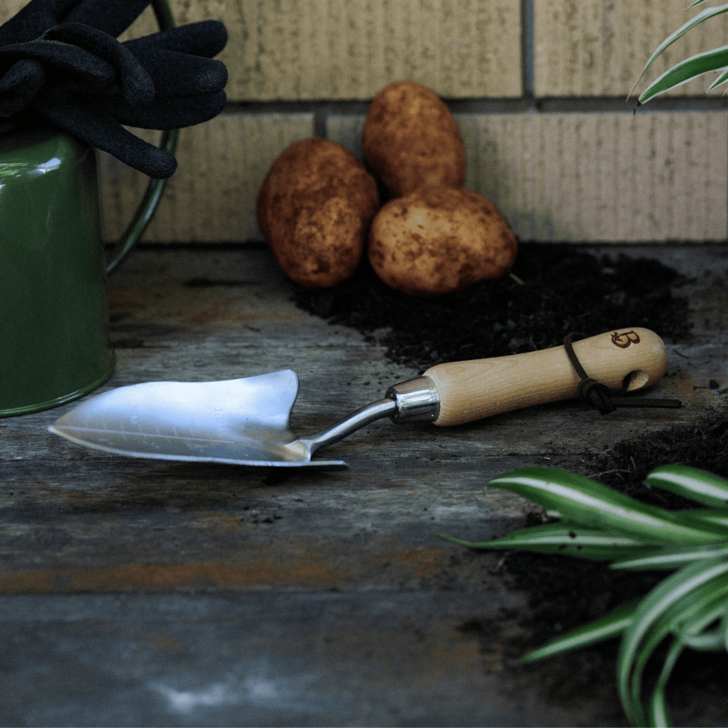 Backyard Botanist Transplanting Trowel