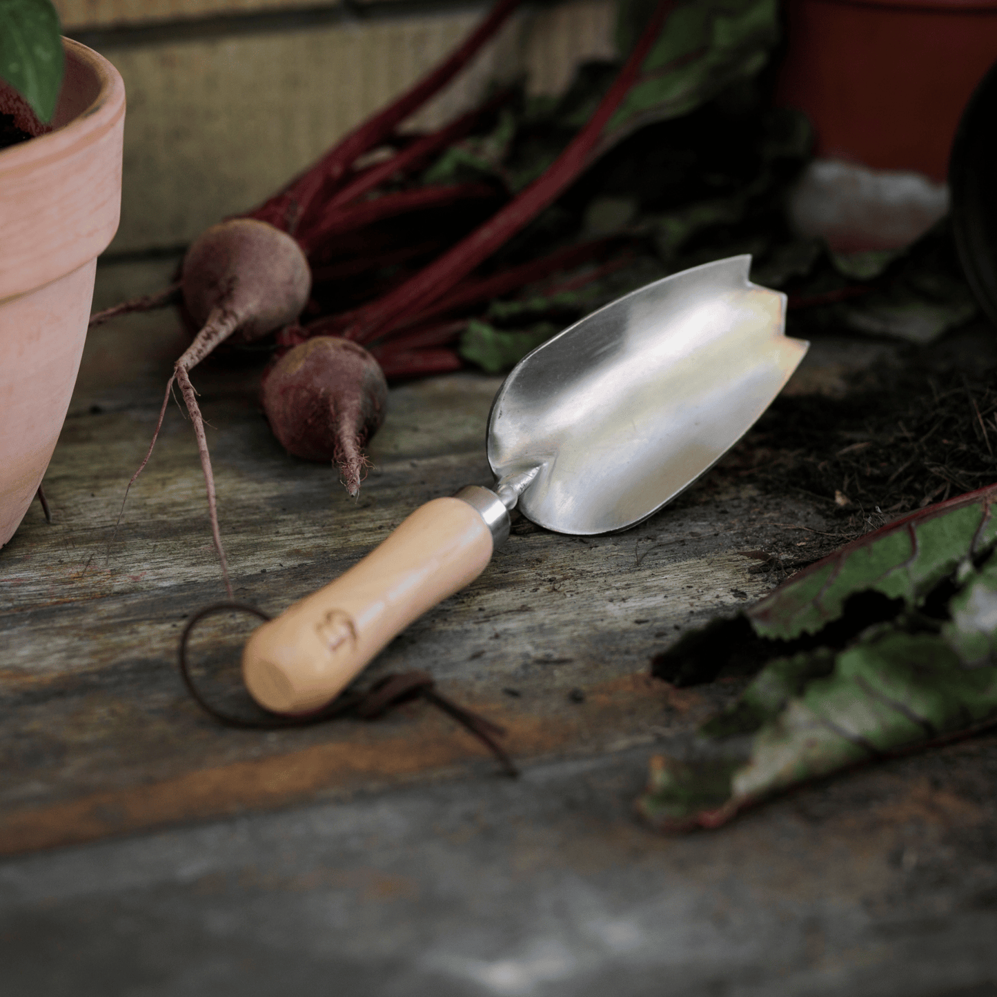 Small garden trowel, perfect for pots and indoor use.