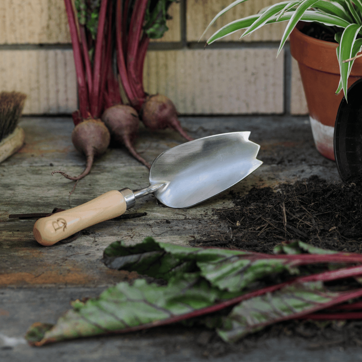 'Get Growing' Small Garden Hand Trowel Tool on Potting Bench