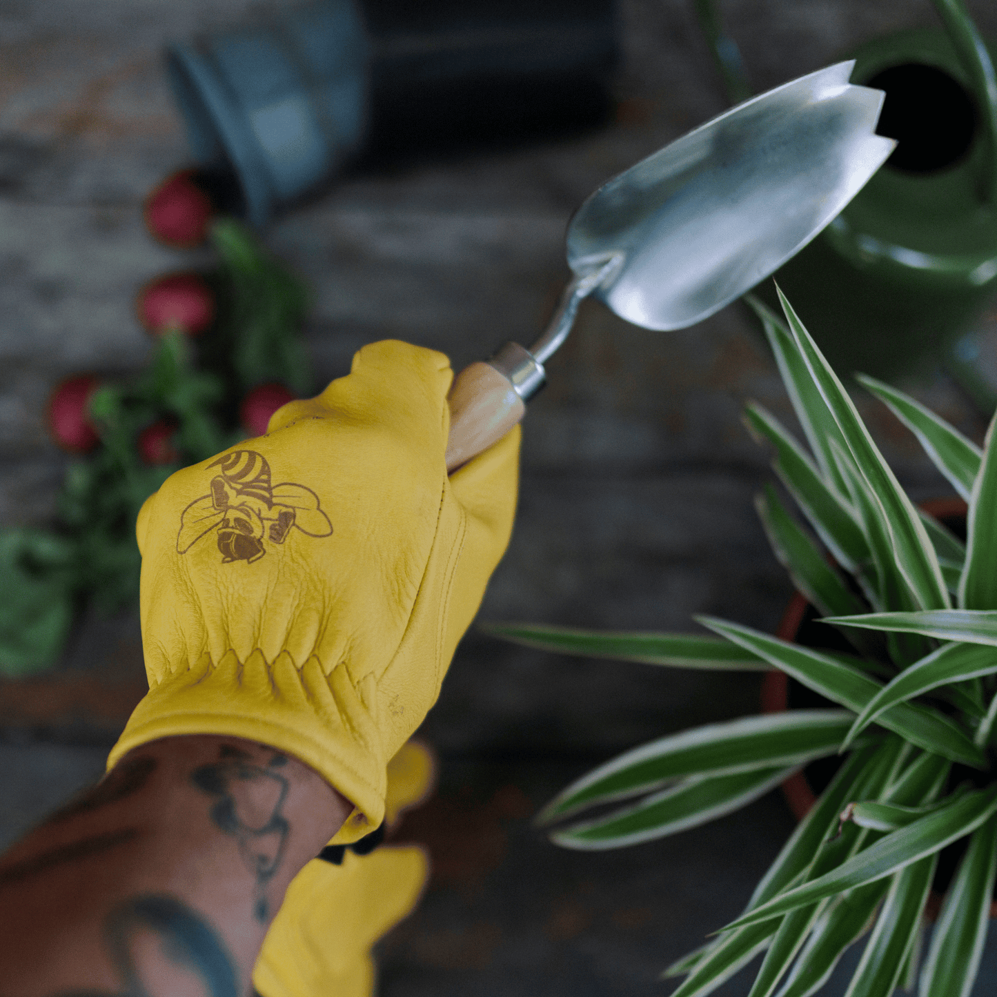 Gardener holding Backyard Botanist Tulip Trowel