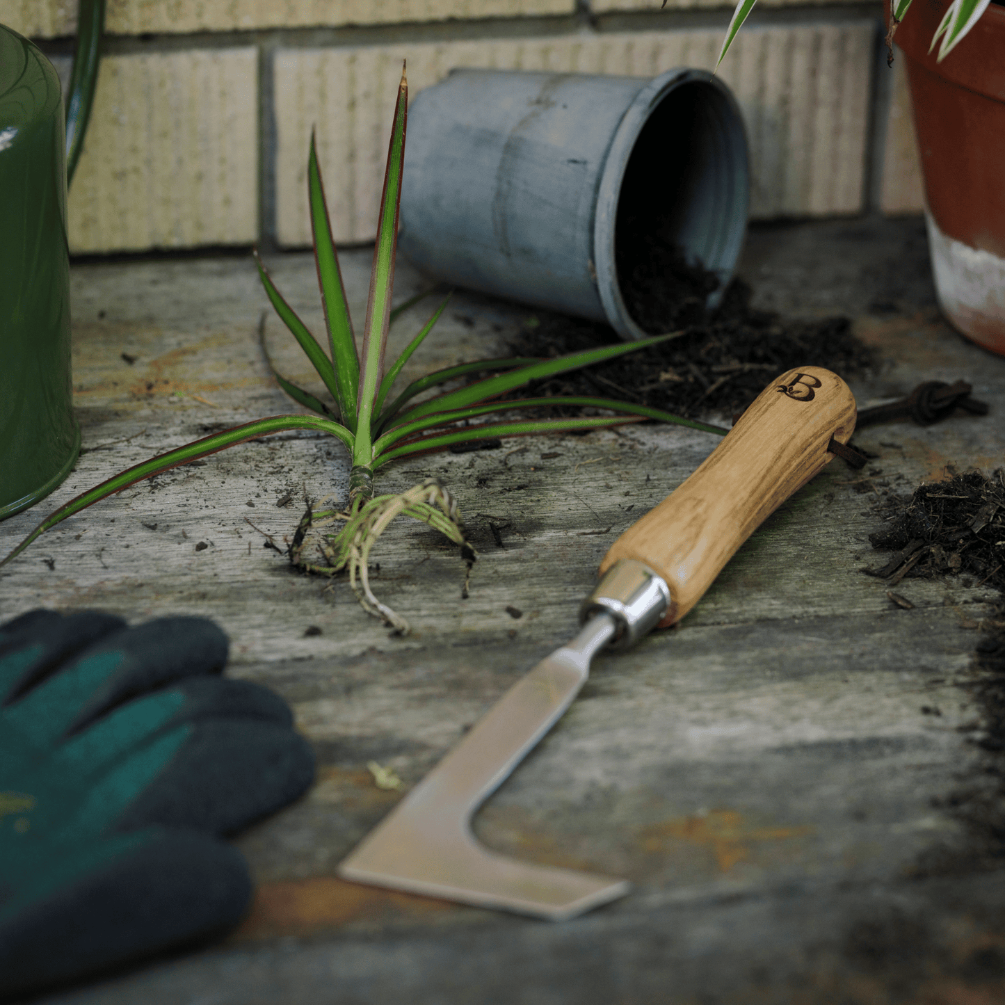 Backyard Botanist Weeding Knife on Potting Bench