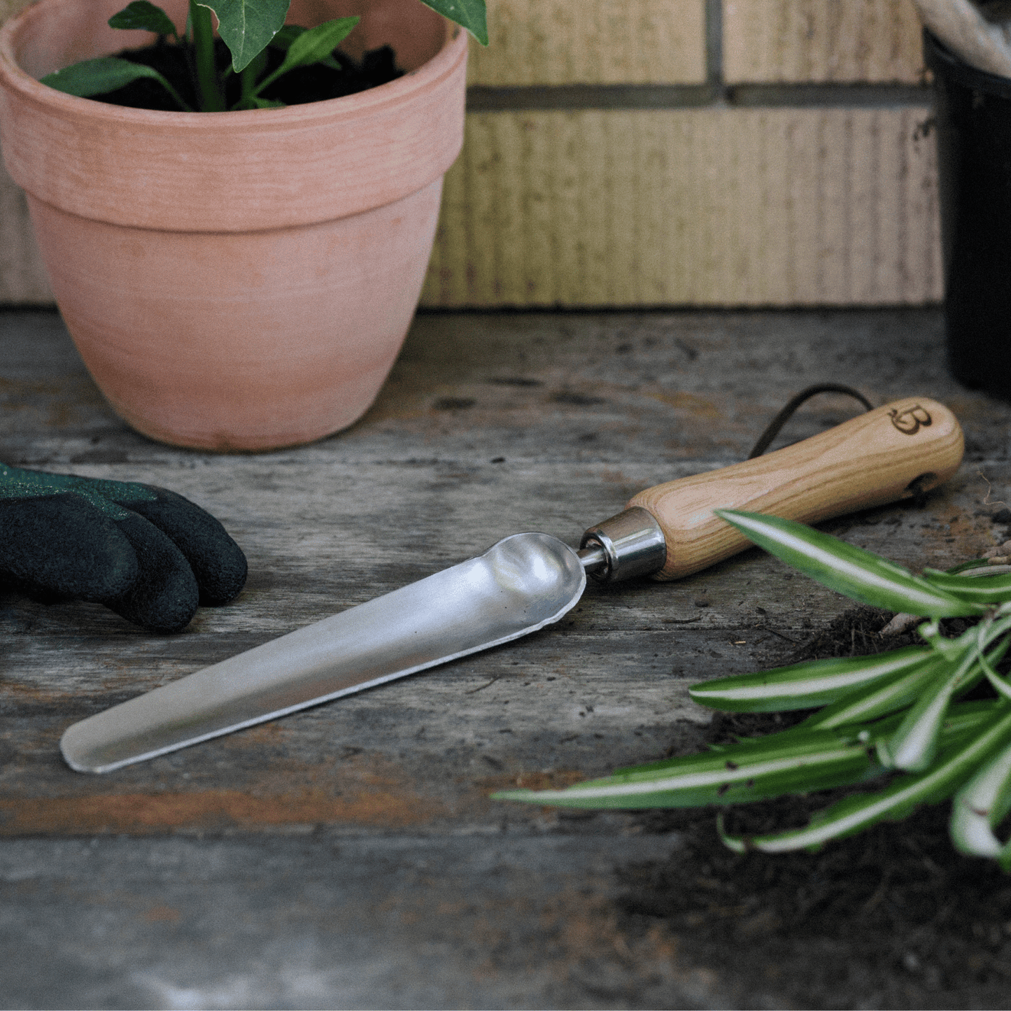 Backyard Botanist 'Get Growing' Widger Tool on Potting Bench