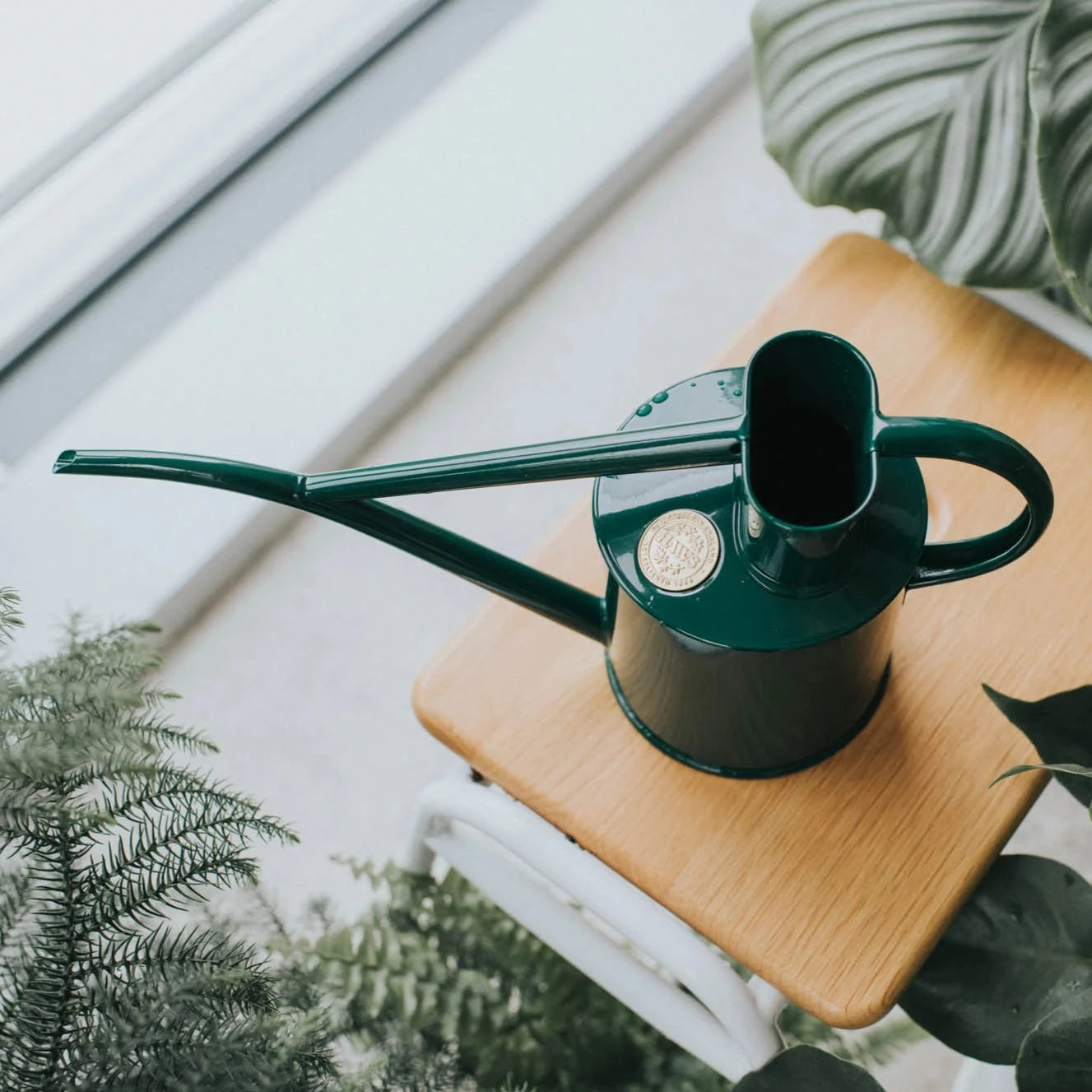 Haws Fazeley Flow Watering Can Green
