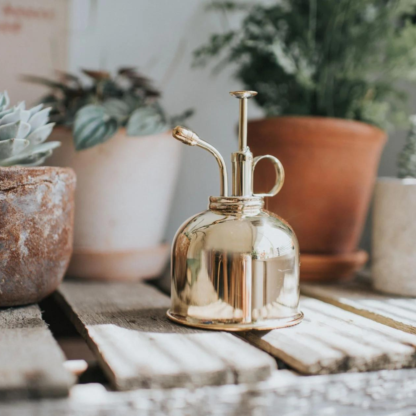 Haws Brass Plant Mister
