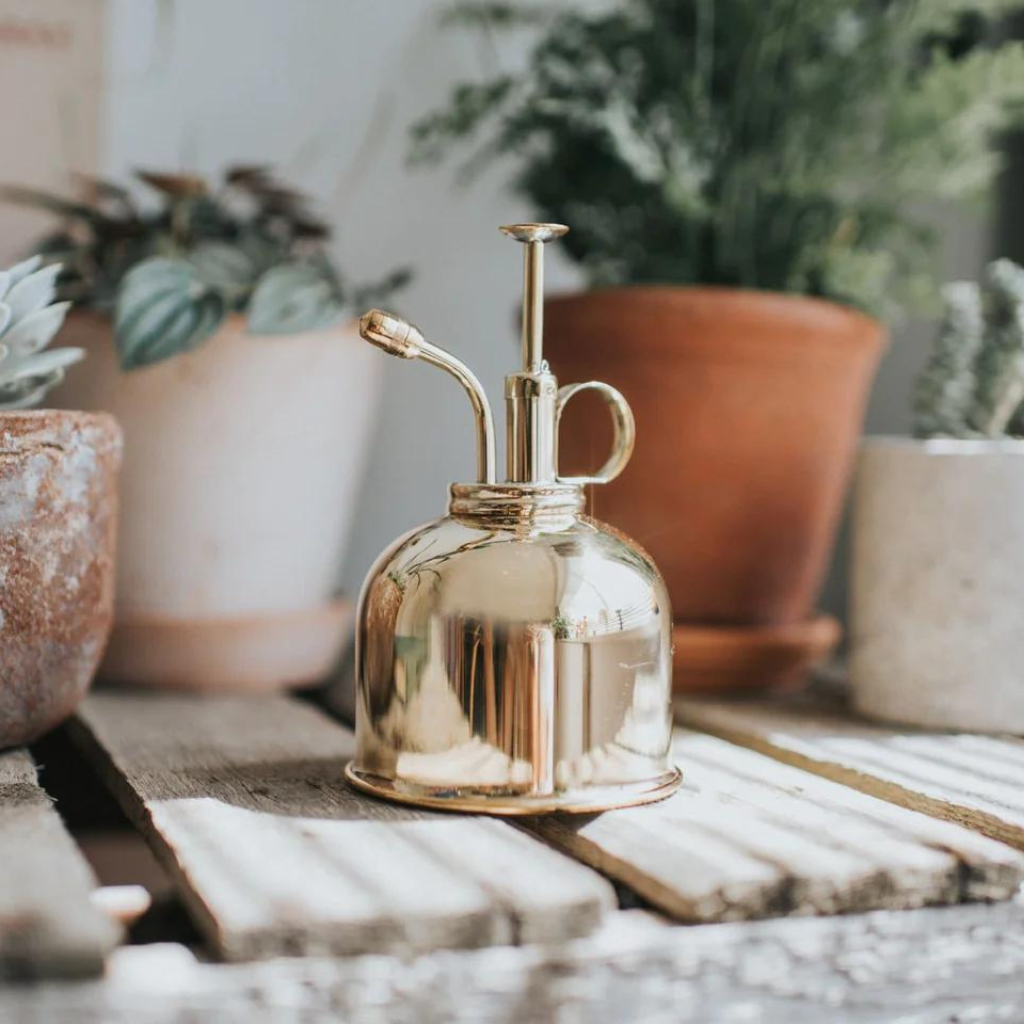 Haws Brass Smethwick Spritzer Plant Mister