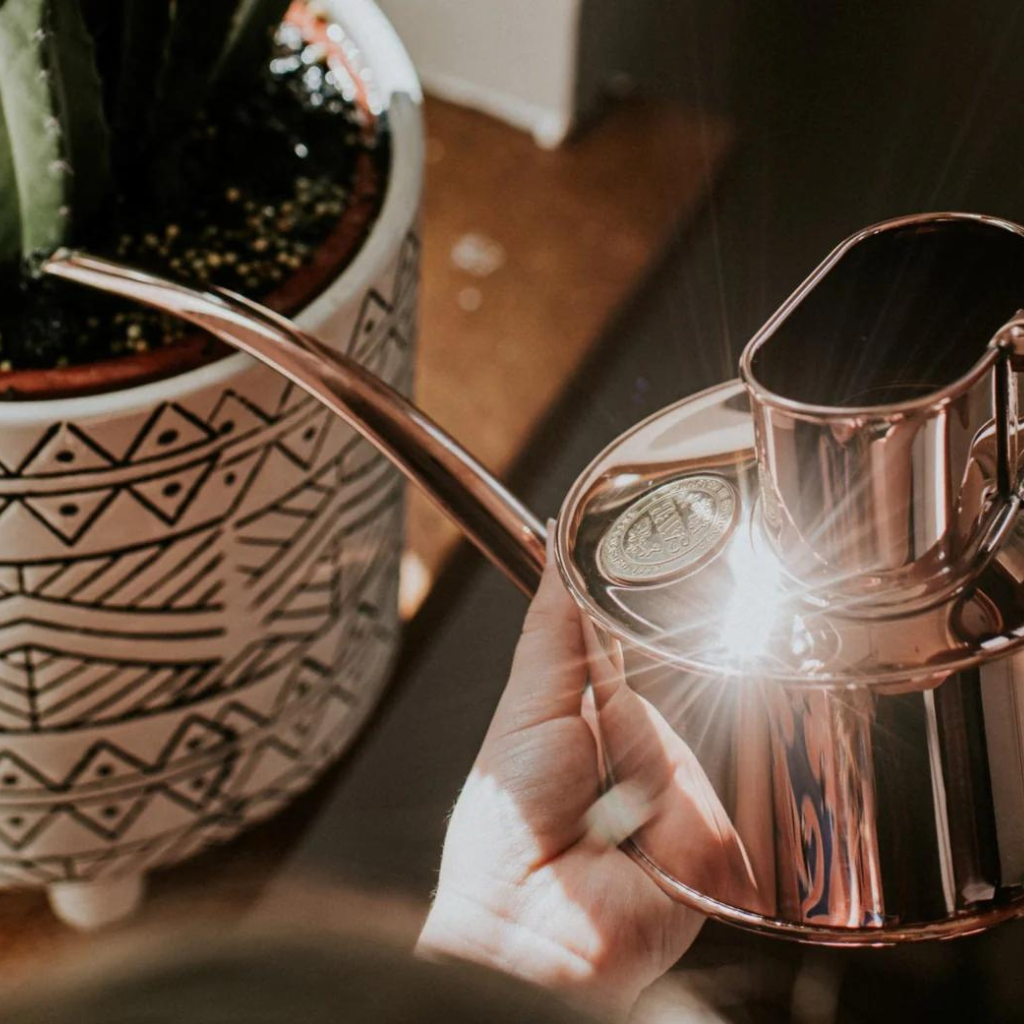 Gleaming Haws Copper Watering Can