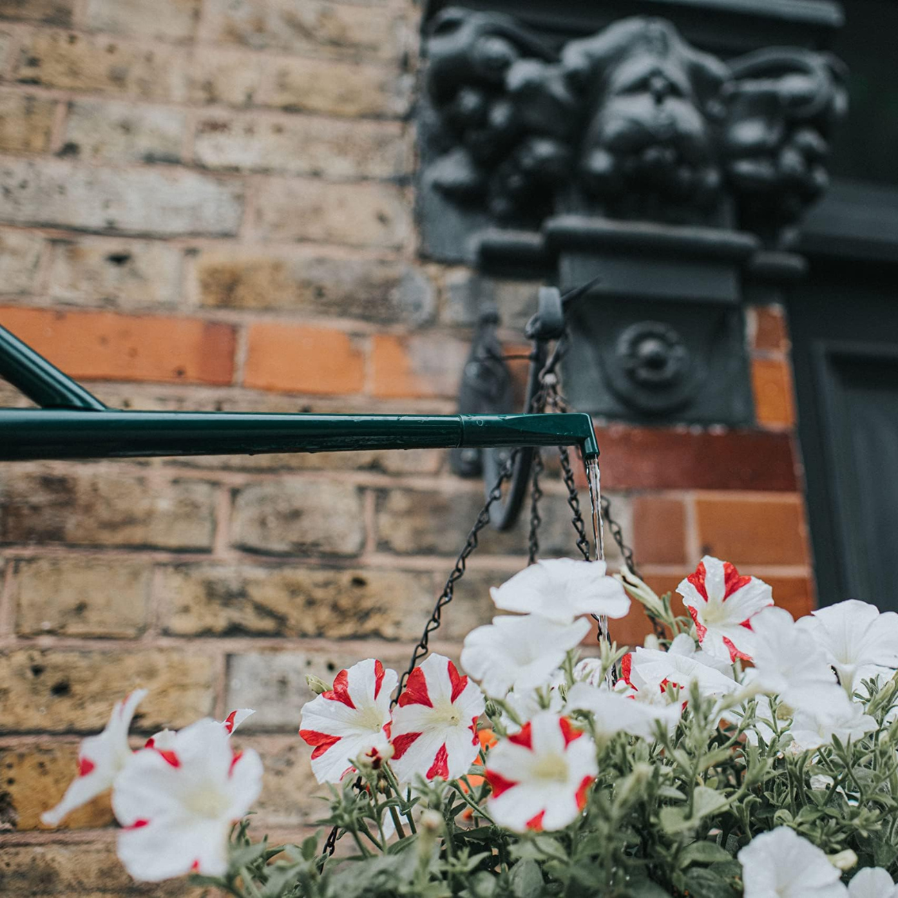 Watering Hanging Basket with Haws Downspout Attachment