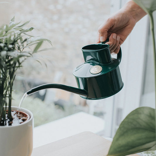 Haws Indoor Watering Can