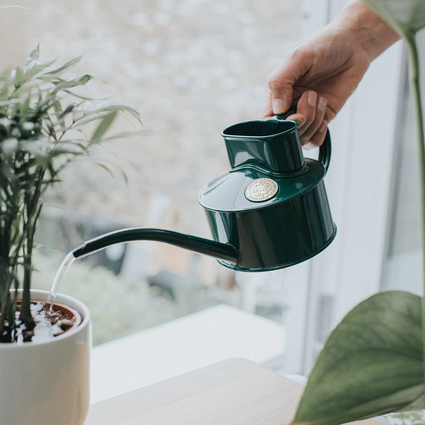 Haws Indoor Watering Can