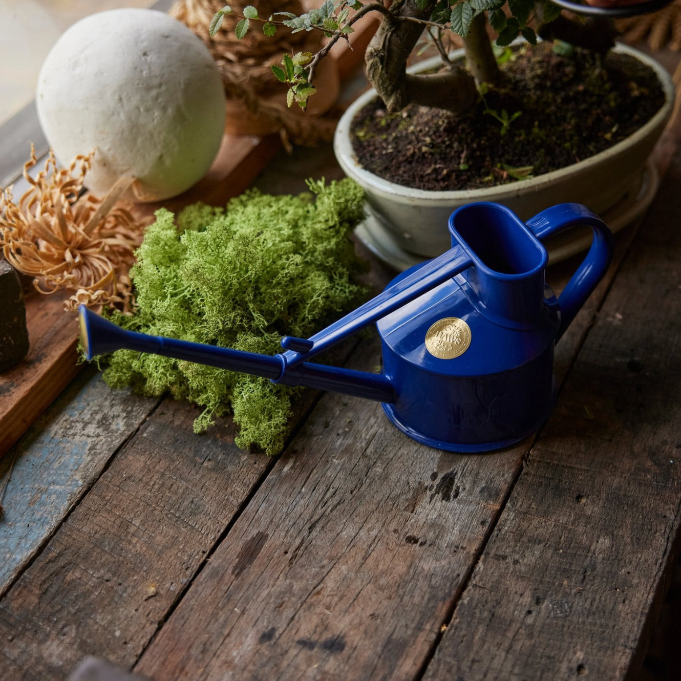 Haws Langley Sprinkler Plastic Watering Can in Blue