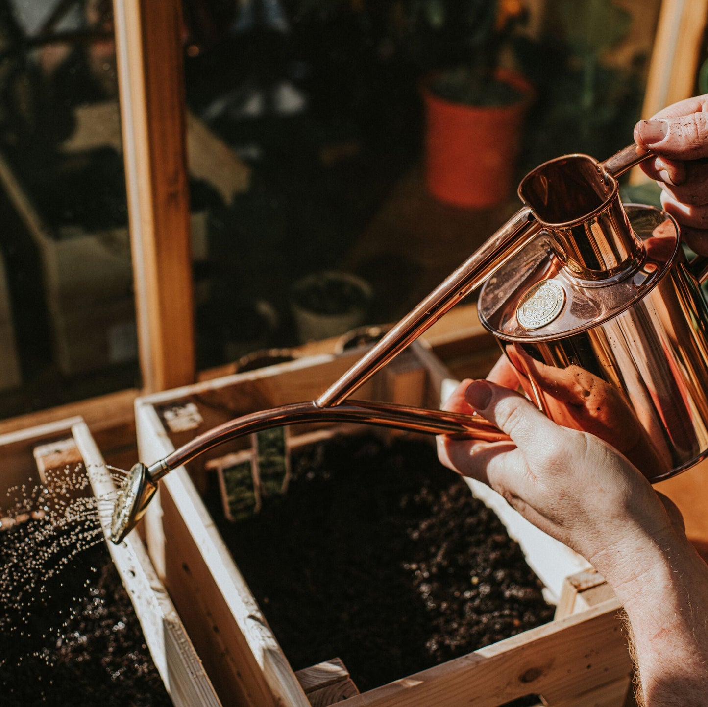 Watering Seeds on Greenhouse with Haws Copper Rowley Ripple Watering Can