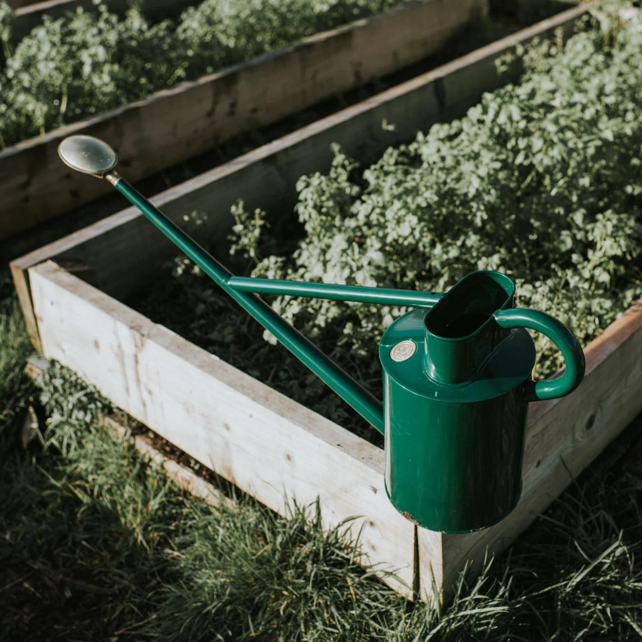 Haws Warley Fall Outdoor Watering Can for the Pro Gardener