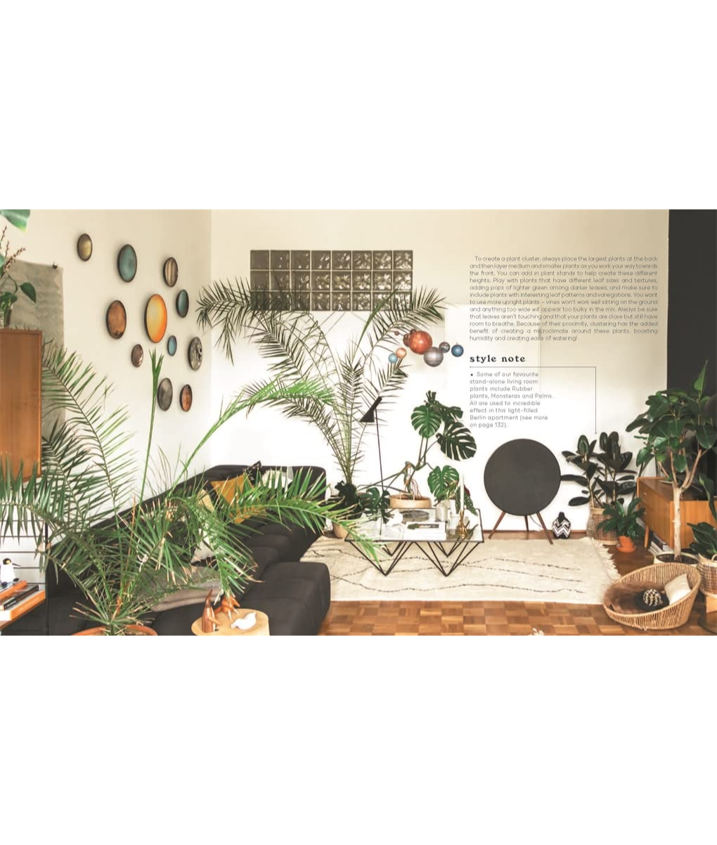 Indoor Jungle Hero