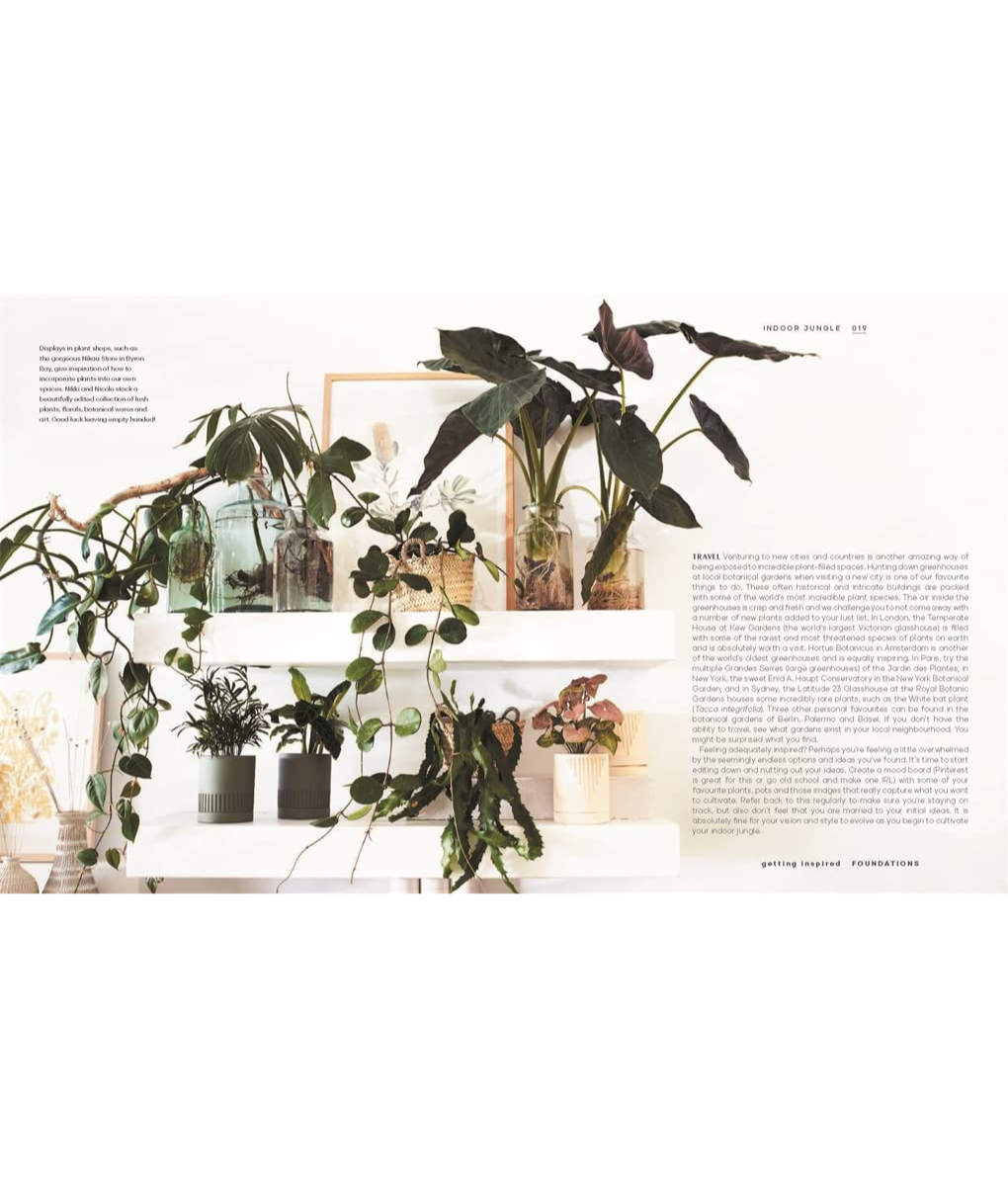 Indoor Jungle Travel