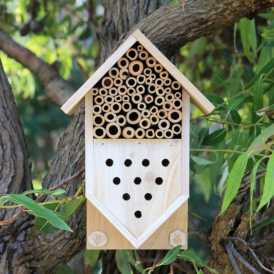 A wooden insect hotel attached to a garden tree.