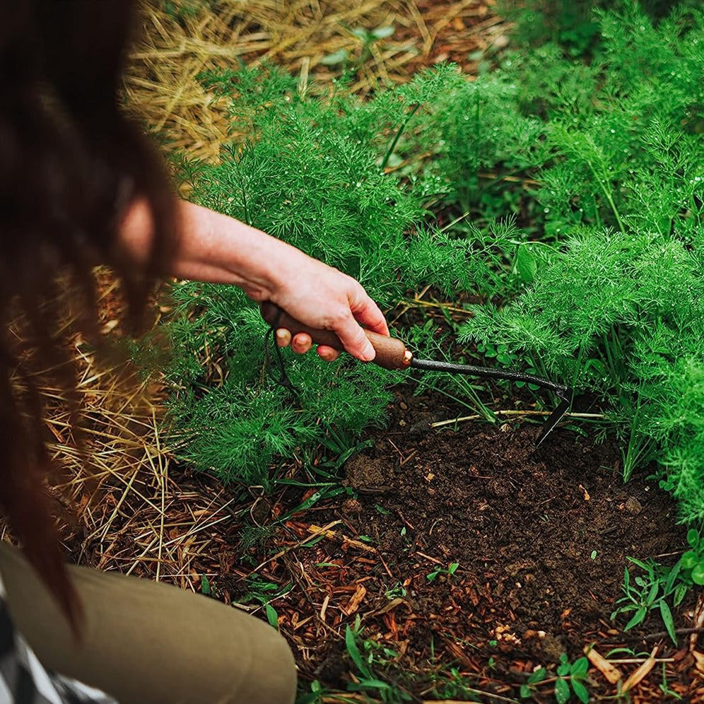 Gardening with Japanese Weeding Hoe