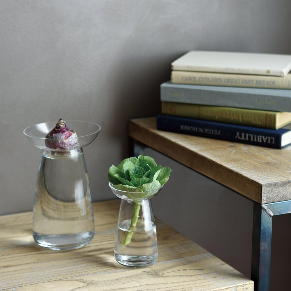 Kinto Japan Aqua Culture Propagation Vases, Clear