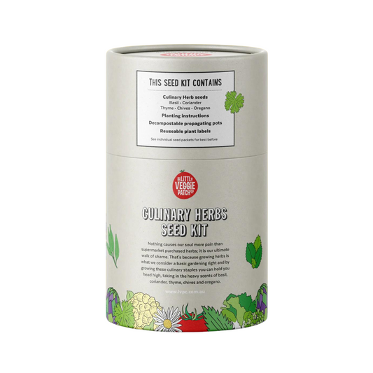 Little Veggie Patch Co Culinary Herbs Seed Kit Contents