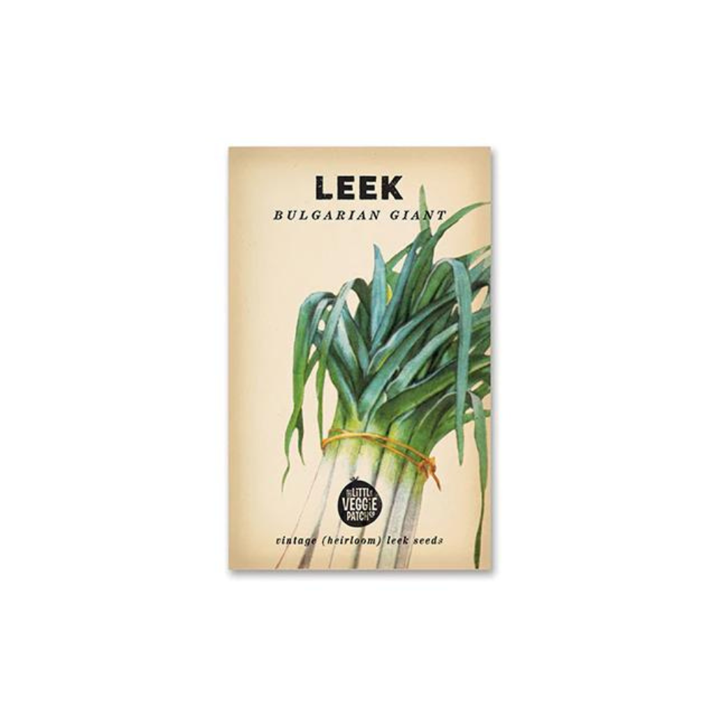 Leek 'Bulgarian Giant' Heirloom Seeds