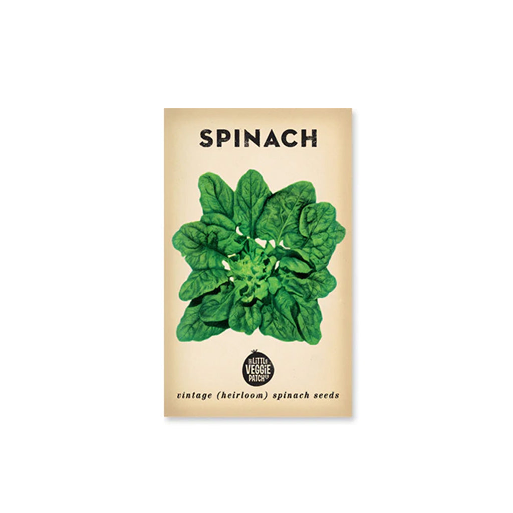 Spinach 'Bloomsdale' Heirloom Seeds