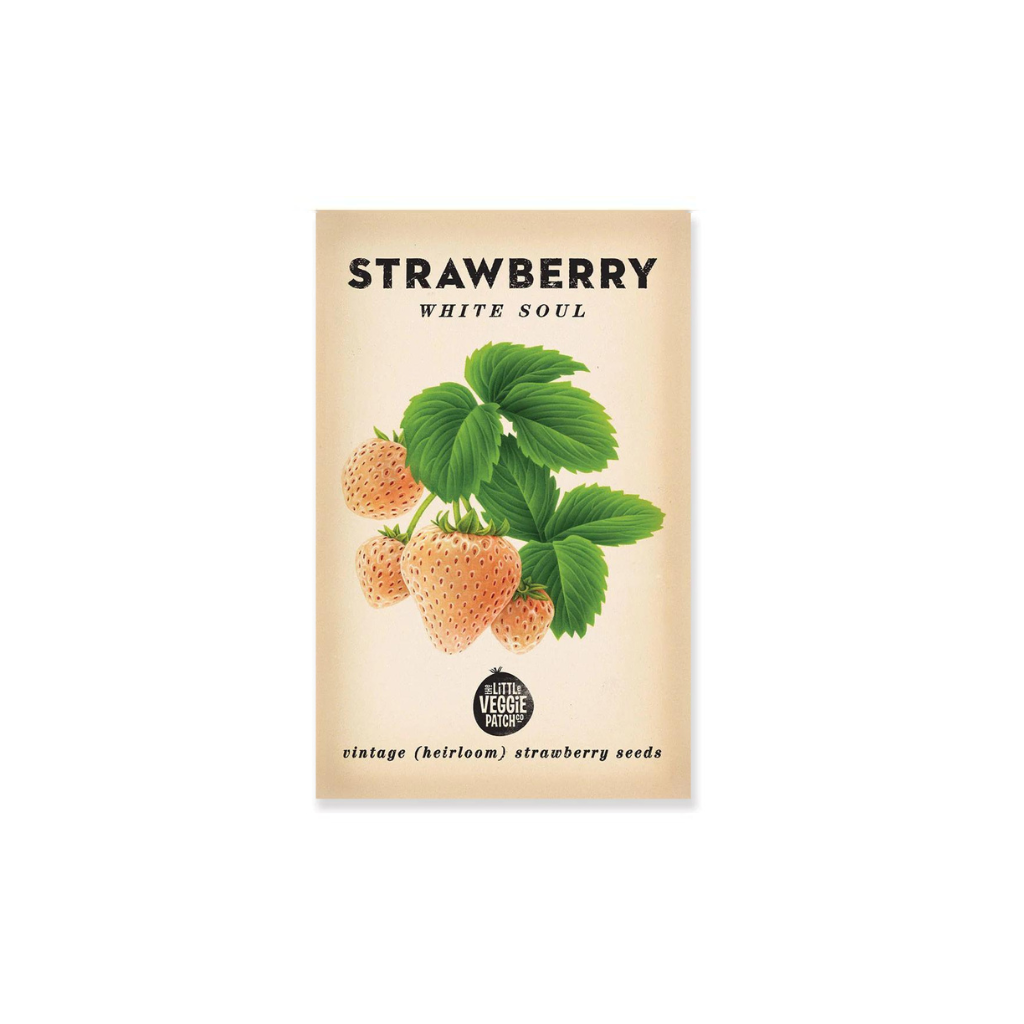 heritage strawberry seeds Strawberry 'White Soul' Heirloom Seeds