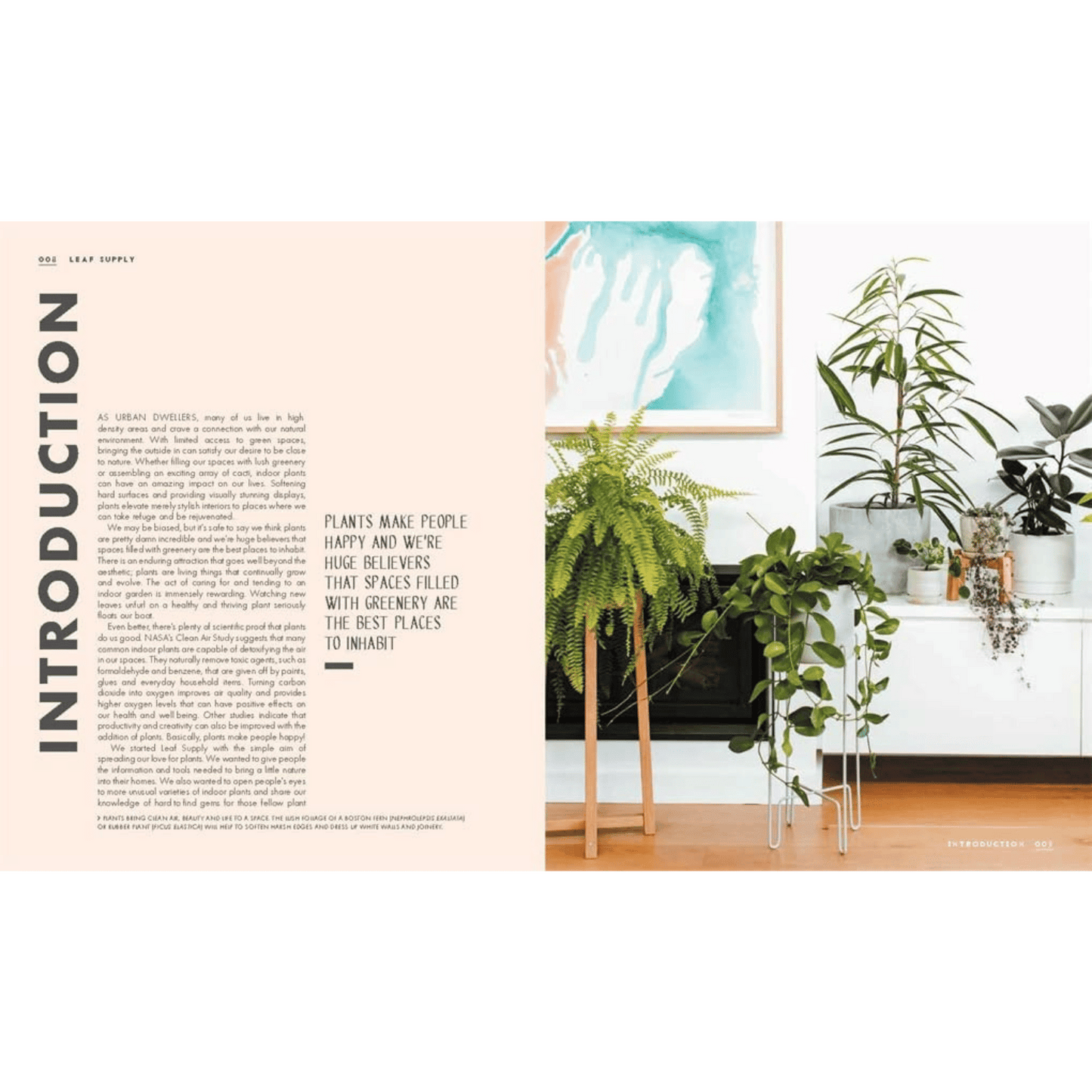 Leaf Supply Intro