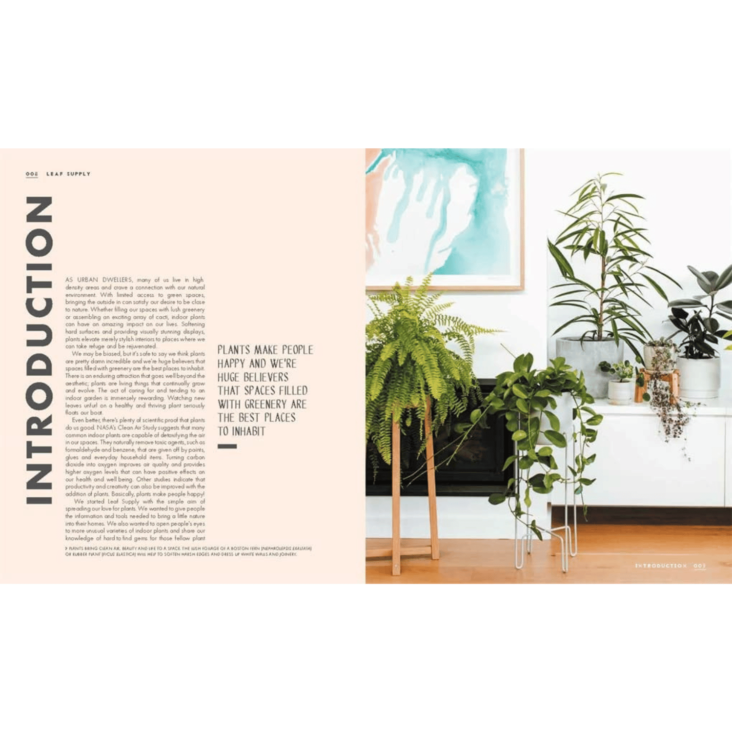 Leaf Supply Intro