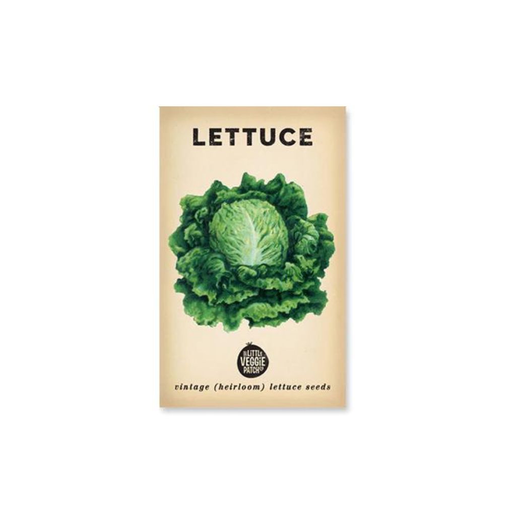 Lettuce 'Oakleaf' Heirloom Seeds – Backyard Botanist