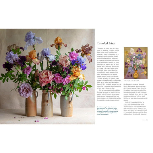 Life With Flowers - Bearded Irises