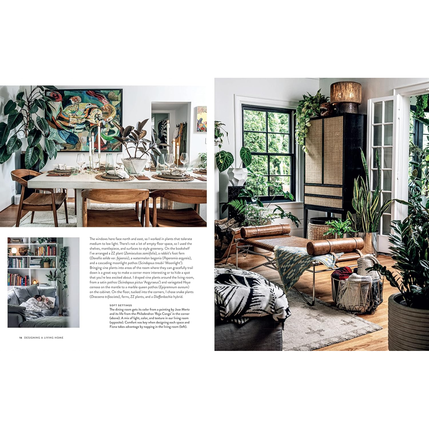 Living Wild by Hilton Carter - Designing a Living Home