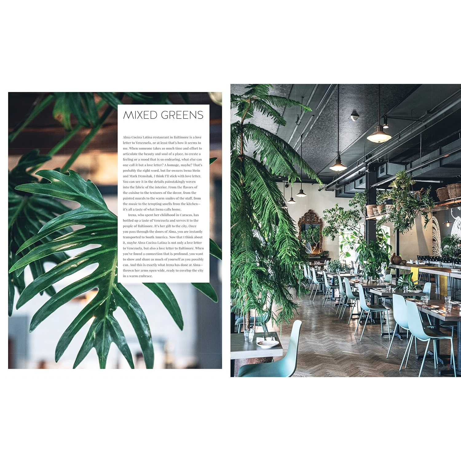 Living Wild by Hilton Carter - Mixed Greens