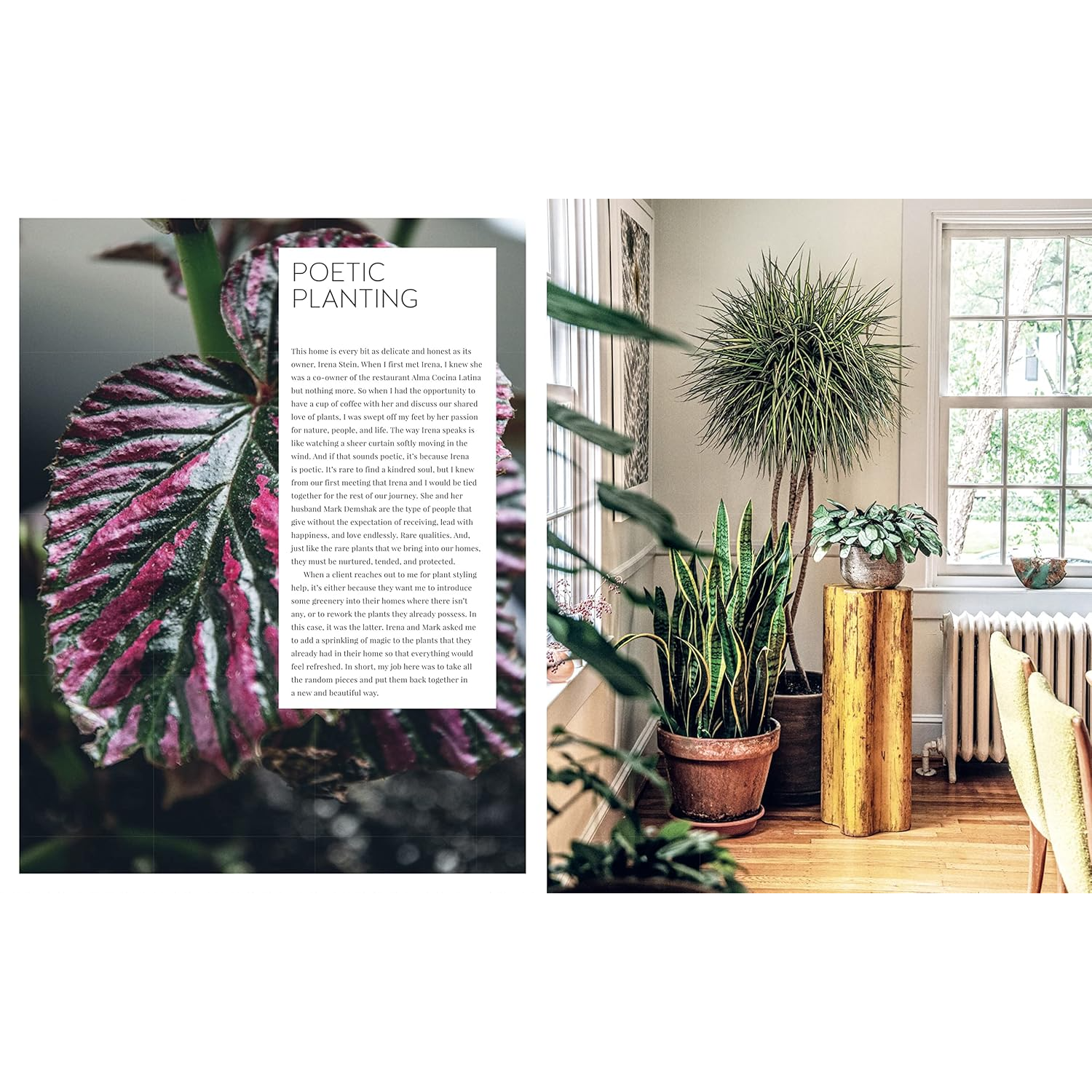 Living Wild by Hilton Carter - Poetic Planting