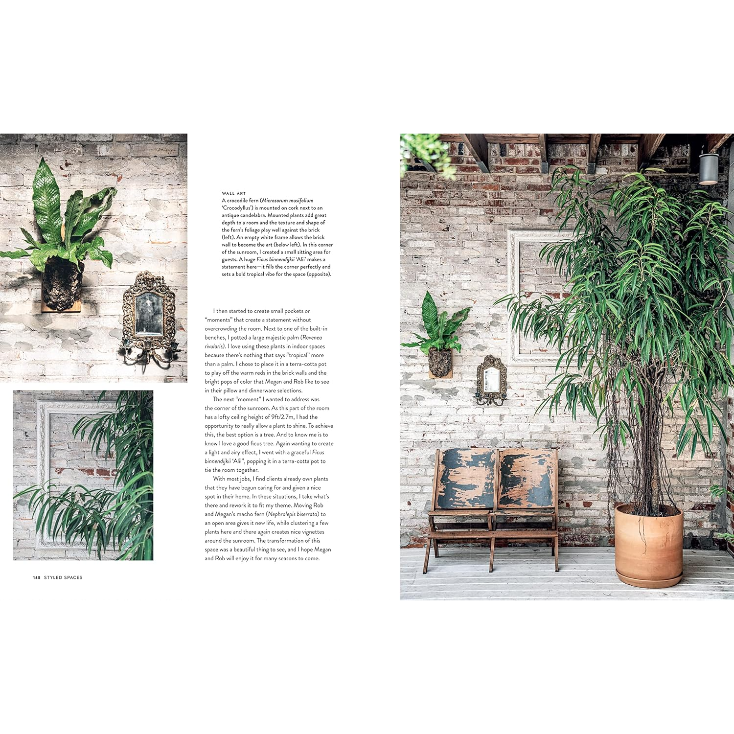 Living Wild by Hilton Carter - Styled Spaces