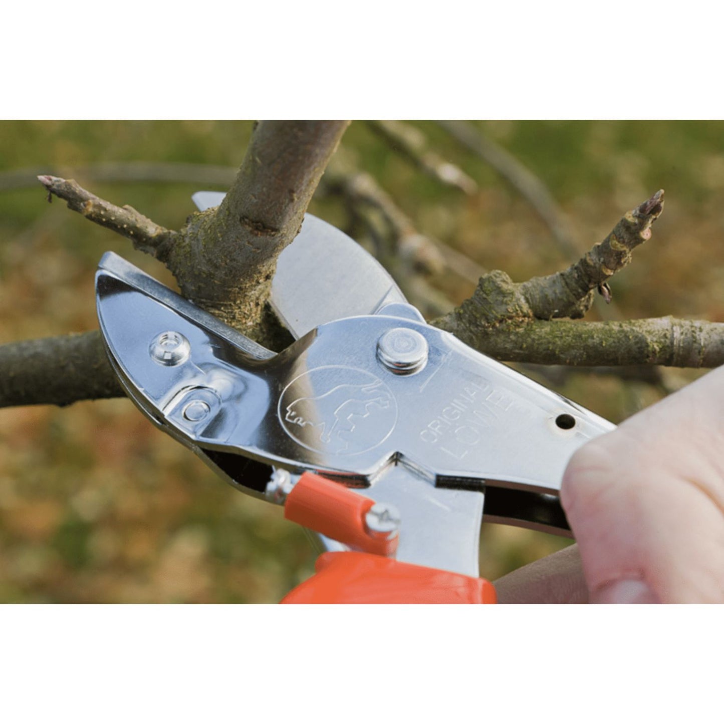 Original Löwe No1 (1.104) Heavy Duty Anvil Pruning Secateurs for Garden