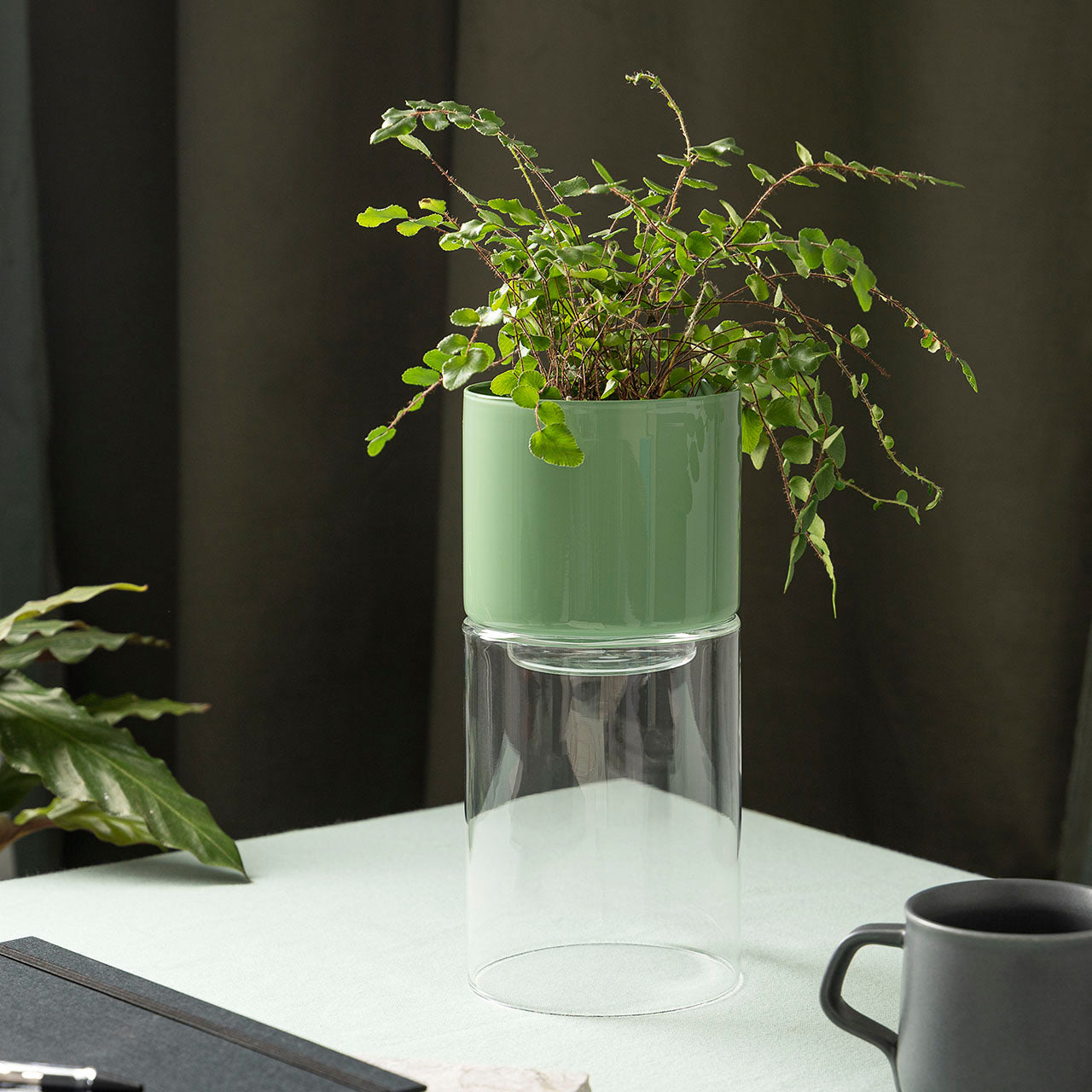 Studio Milligram Glass Flip Planter Tall, Clear/Sage Planted