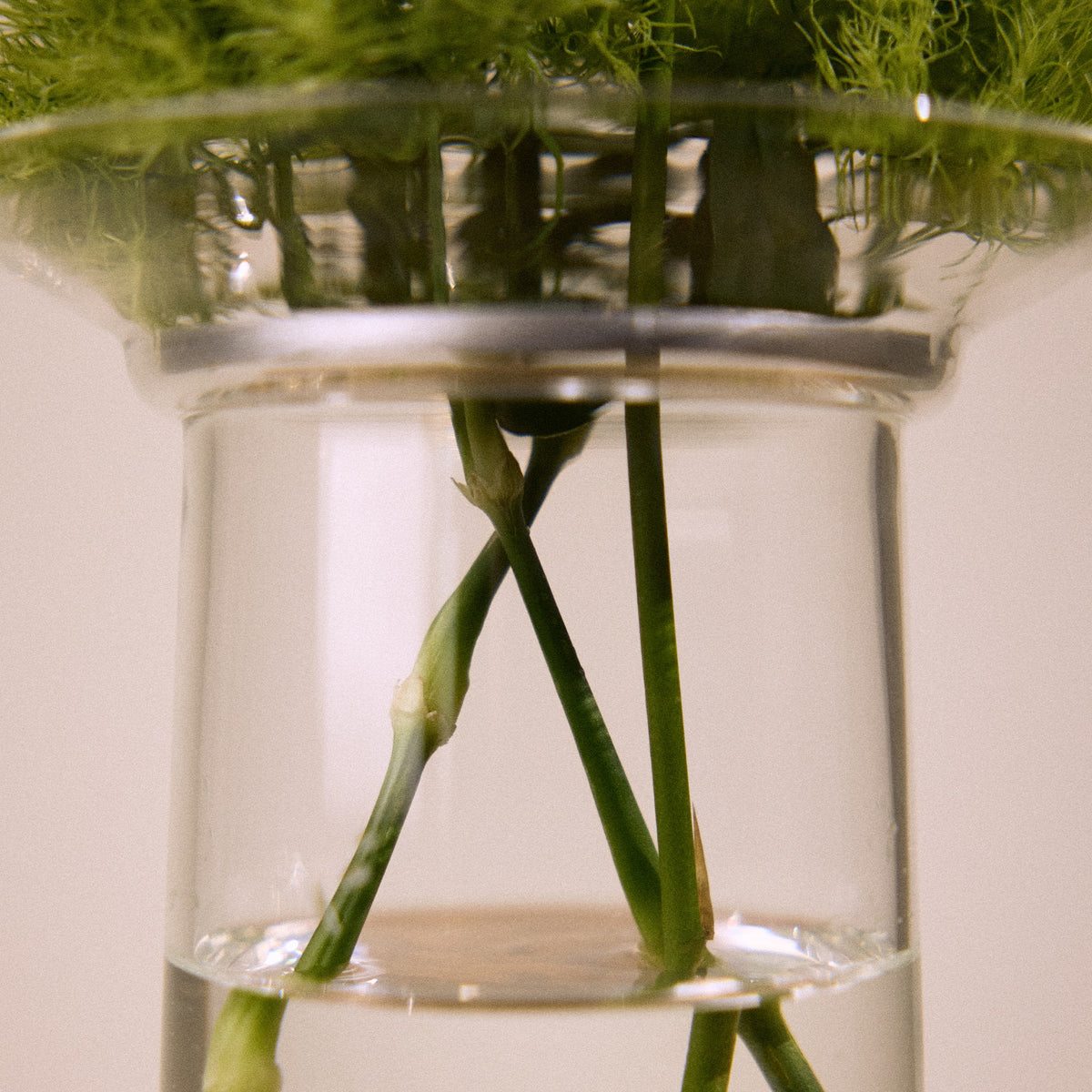 Flower Stems Supported in Studio Milligram Ikebana Vase, Medium