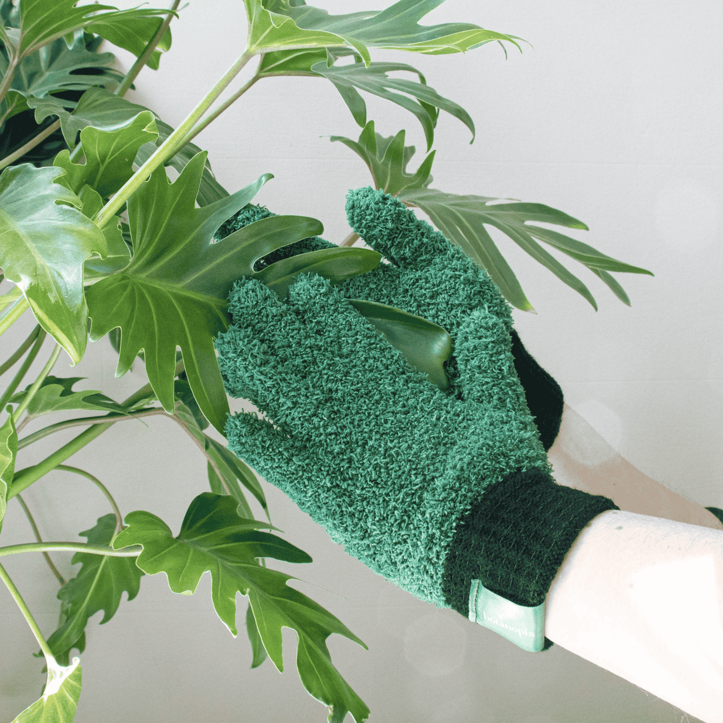 Microfibre Leaf Cleaning Gloves for Plants