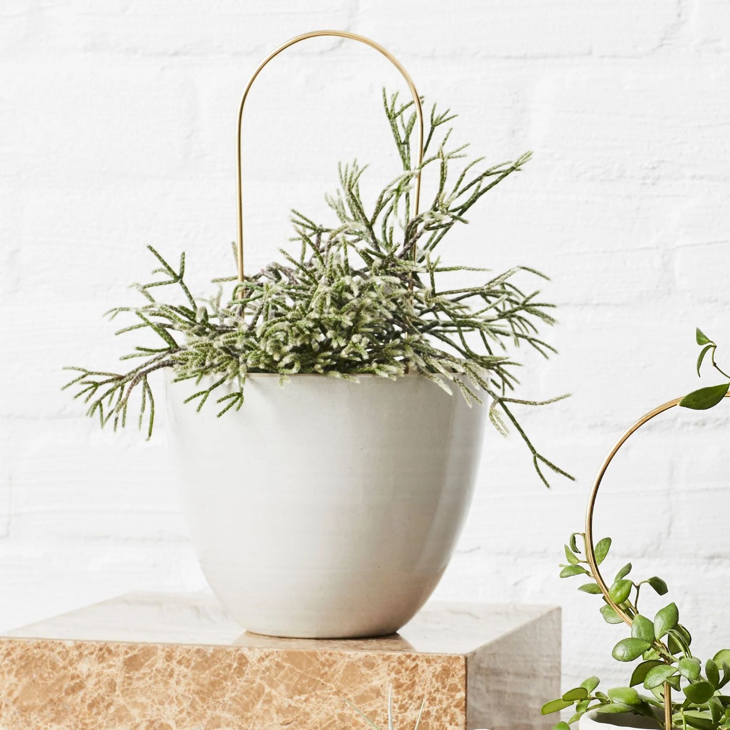 Ivy Muse Arch Brass Plant Stake Hero