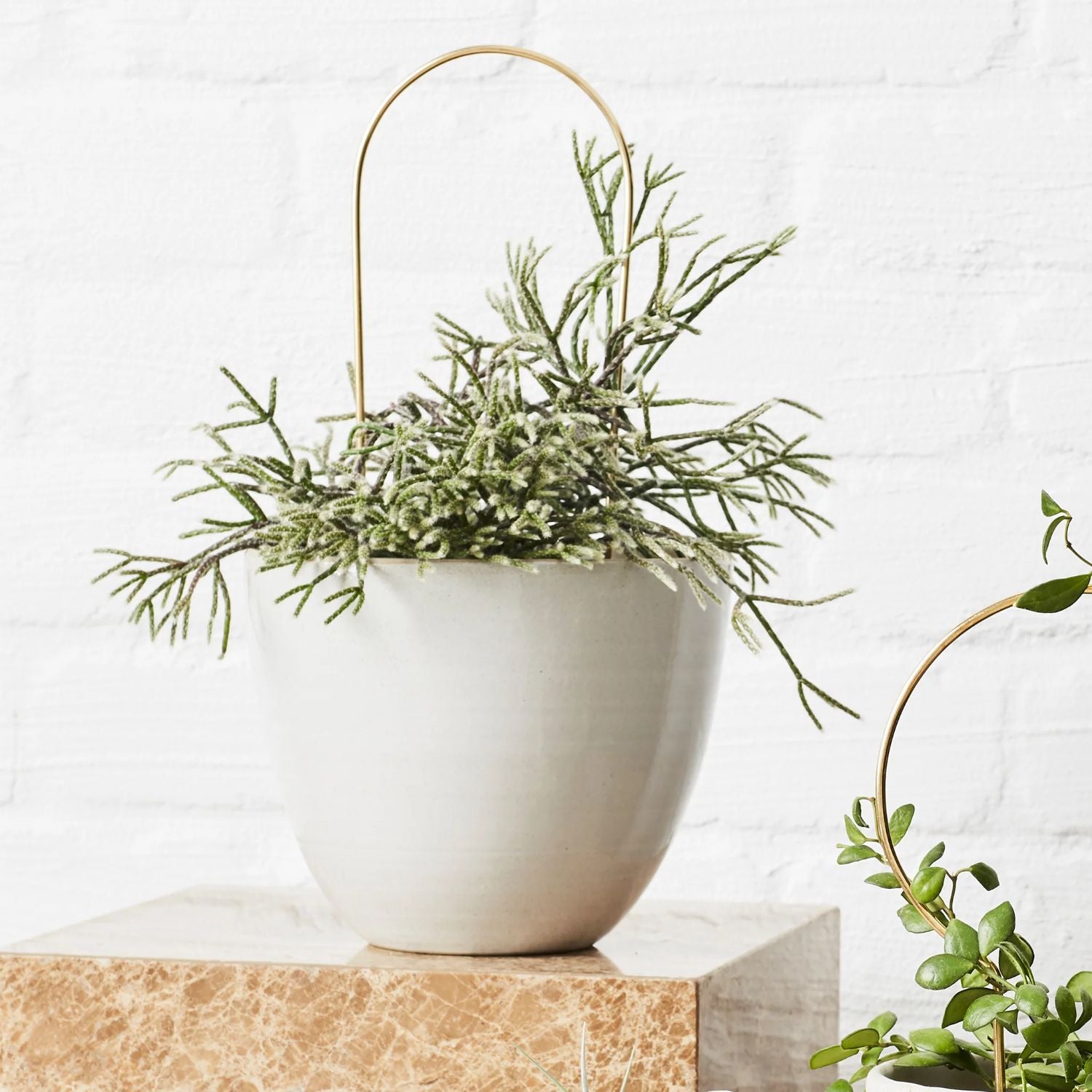 Ivy Muse Arch Brass Plant Stake Hero