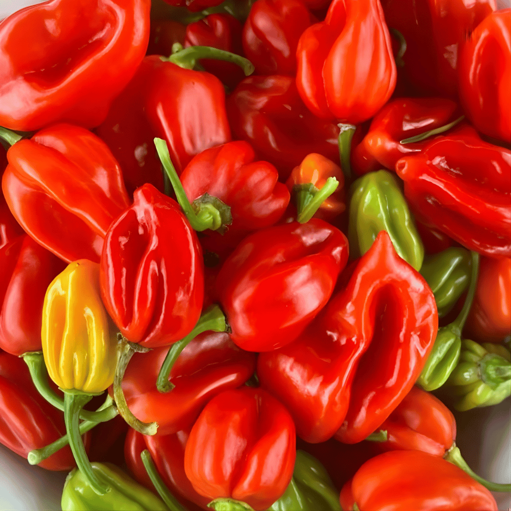 Mixed Habanero Chillis