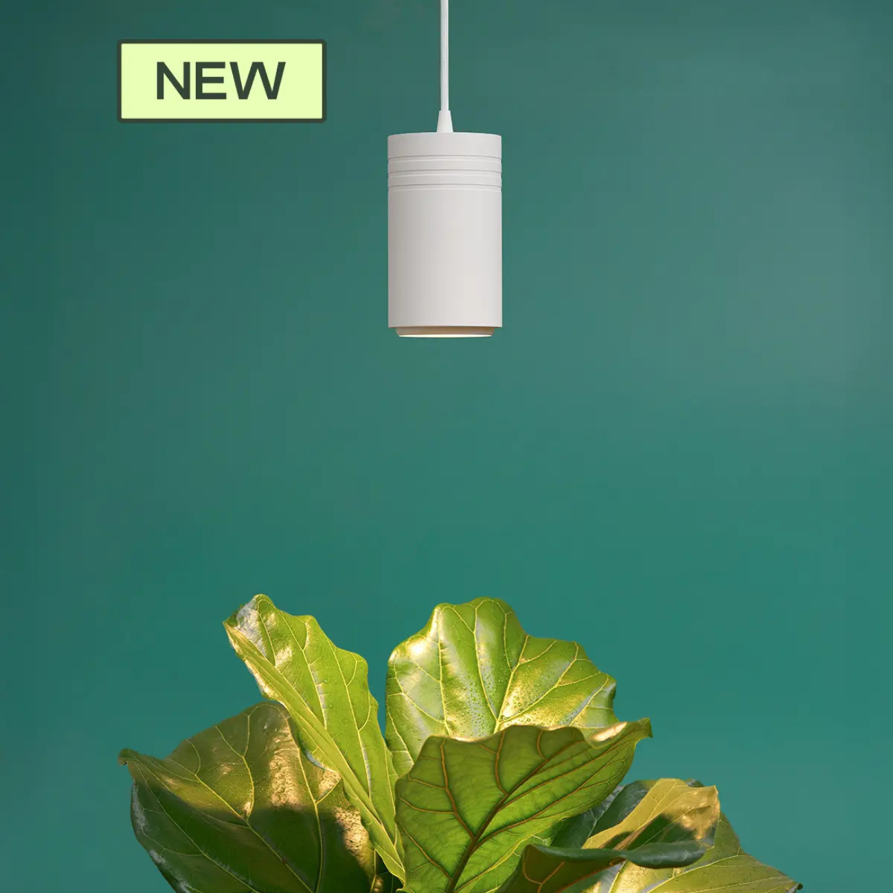 New Soltech Gen 2 Aspect™ Grow Light, White