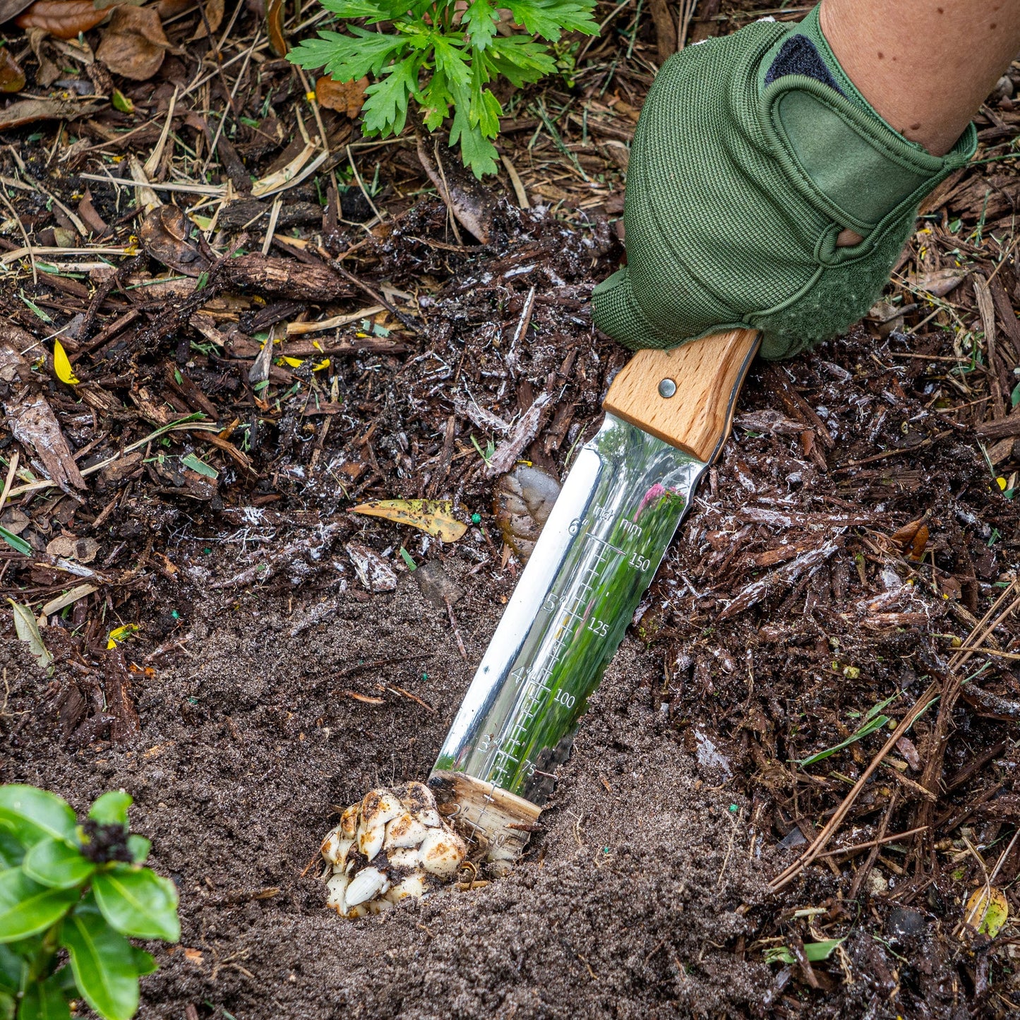 Nisaku 650 Japanese Hori Hori for Gardening