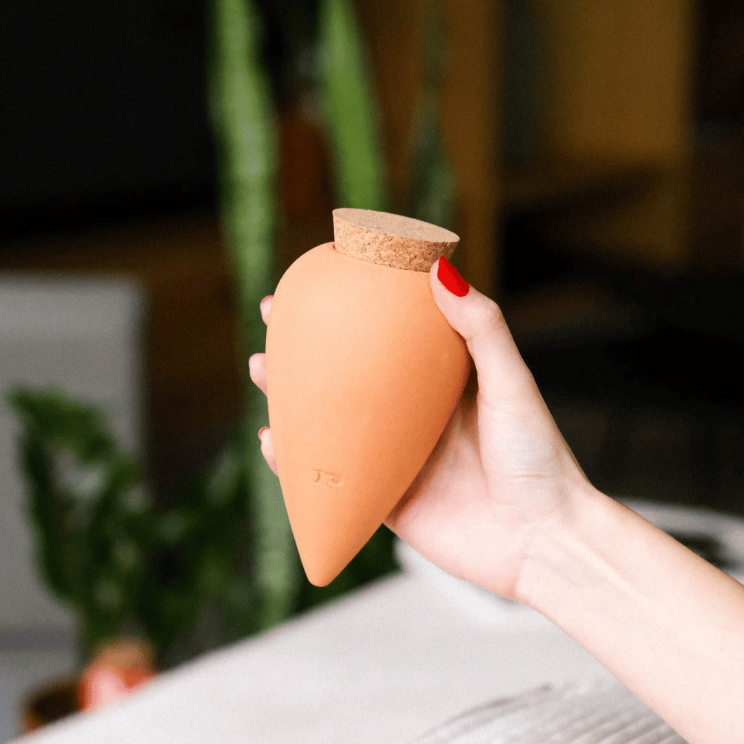 Original Terracotta Olla by Pepin