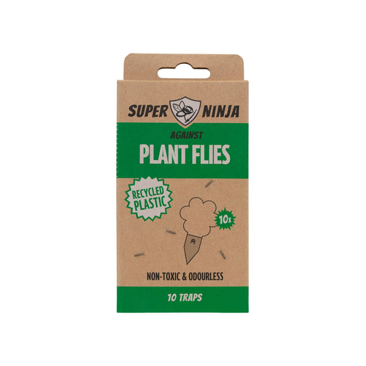 Plant Fly Ninja Fungus Gnat Traps